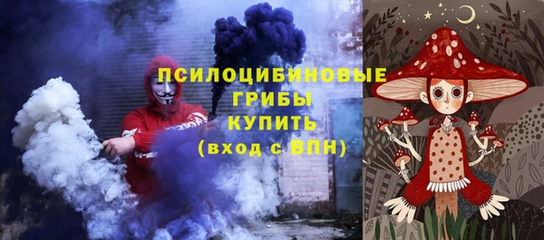a pvp Горняк