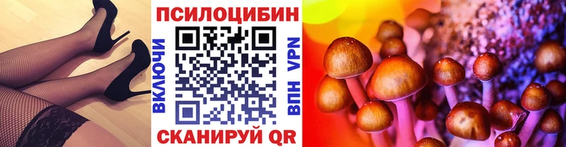 Псилоцибиновые грибы прущие грибы  наркошоп  MEGA ТОР  Егорьевск 